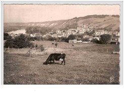 95.VETHEUIL.VUE GENERALE EN DIRECTION DE LA ROCHE-GUYON.CPSM. - Vetheuil