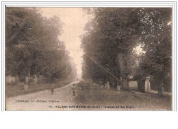 94.VILLERS SUR MARNE.AVENUE DU VAL ROGER. - Villiers Sur Marne