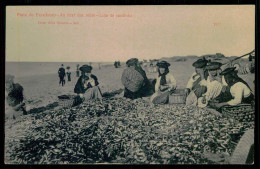 OVAR-FURADOURO-COSTUMES-Praia Do Furadouro- Ao Tirar Das Rêdes-Lota De Sardinha.(Editor Silva Cerveira)  Carte Postale - Aveiro