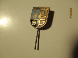 LATVIA BAUSKA AGRICULTURAL PIN BADGE - Vereinswesen