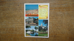 Delcampe - Biscarrosse , Multi-vues - Biscarrosse