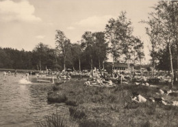 135910 - Dahlen-Ochsensaal - Freibad Dammühlenteich - Dahlen