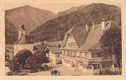 Schleching - Panorama Gel.1919 - Traunstein