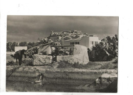 Ibiza (Espagne, Islas Baleares) : Noria En Los Alrededoros De La Cludad En 1956 (animado) GF. - Ibiza