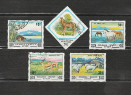 Mongolie - Lot 40 Timbres Les Animaux, Chevaux Moutons Castors Gazelles Chiens Ours Pandas Grenouille Poissons Oiseaux - Mongolia