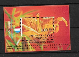 1994 MNH Netherlands NVPH Nr 1604 - Bloks