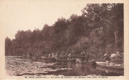 Sucé Sur Erdre * Pêcheurs , Pêche à La Ligne * Au Bord De L'erdre , Un Fameux Coin Pour La Pêche * ERDRE - Other & Unclassified