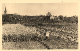 Quilly * Vue Générale , Un Coin Du Village * Villageois Enfant - Autres & Non Classés