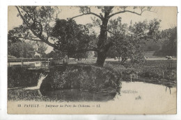 Pavilly (76) : La Passerelle En Bois Du Parc Du Château En 1910 PF - Pavilly