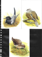 Buzin 3135/40 Chevalier Gambette,Guifette Noire,Tourterelle Turque,Combattant Varié,Grand Gravelot,Traquet Motteux - 1985-.. Vogels (Buzin)