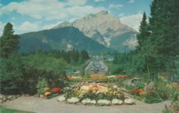 7564 - Kanada - Canadian Rockies - Alpine Gardens - Ca. 1965 - Non Classés