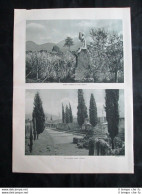 Vedute Di Pompei: Porta Marina + Fotografie Di Achille Bologna Stampa Del 1932 - Otros & Sin Clasificación