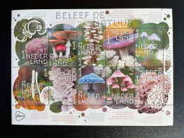 NETHERLANDS 2018 MUSHROOMS SHEET OF 10 STAMPS MNH 17-09-2018 NEDERLAND PADDESTOELEN NVPH 3684/3693 - Storia Postale