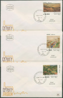 Israel 1981 Kunst Gemälde 843/45 Mit Tab Ersttagsbrief FDC (X61366) - FDC