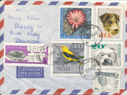 Poland Air Mail Cover Sent To Denmark 10-11-1969 With A Lot Of Topic Stamps On Front And Backside Of The Cover - Lettres & Documents