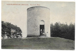 CPA Orroir, Vue De La Tour - Mont-de-l'Enclus