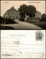 Postcard Sagan Żagań Herzogliches Schloß (Rückseite) 1911 - Neumark