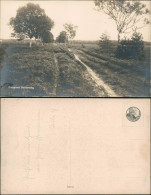 Ansichtskarte  Stimmungsbild Natur Einsamer Heideweg 1920 - Unclassified