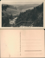 Ansichtskarte Tambach-Dietharz Partie In Der Spitter 1923 - Tambach-Dietharz