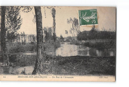 BRIENON - Château Saint Marc - Très Bon état - Brienon Sur Armancon