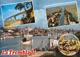 17-LA TREMBLADE -N°3414-C/0281 - La Tremblade