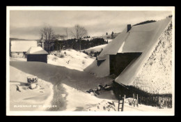 ALLEMAGNE - BLASIWALD BEI ST BLASIEN - St. Blasien