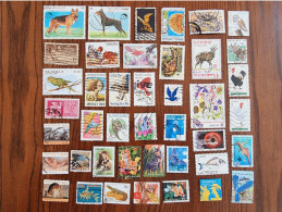 Worldwide Stamp Lot - Used - Various Themes - Mezclas (max 999 Sellos)