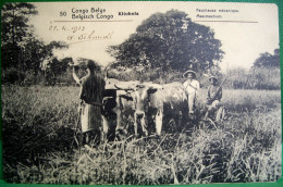 Cpa CONGO BELGE KITOBOLA Animée FAUCHEUSE MECANIQUE 1913  Attelage Boeufs ,ENTIER POSTAL 10 C , PAYSANS - Spannen