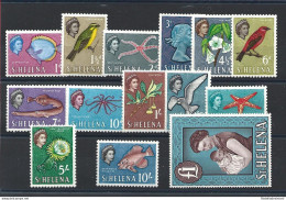 1961-65 ST. HELENA - SG 176/189 , Ordinaria 14 Valori , MNH** - Other & Unclassified