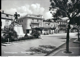 Ar488 Cartolina Torremaggiore Monumento Ai Caduti Provincia Di Foggia - Foggia