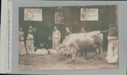 PARIS Rue De La Glacière  BOUCHERIE M. BERTHEAU & LES EMPLOYES  CONCOURS AGRICOLE 1908   Avril 2024 19 Re - Arrondissement: 13