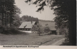 76681 - Hermsdorf / Osterzgebirge - Richtergrund - 1968 - Pirna