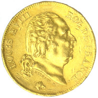 Louis XVIII-40 Francs 1816 Perpignan - 40 Francs (or)