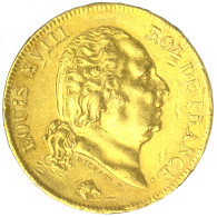 Louis XVIII-40 Francs 1816 Perpignan - 40 Francs (goud)