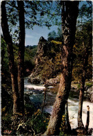 11-4-2024 (1 Z 38) France - Gorges De L'Auvézère (et Arbres) - Bäume