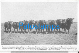 226770 ARGENTINA CORRIENTES EXPOSICION DE CONCORDIA PRODUCTOS ABERDEEN ANGUS YUQUERY COW AÑO 1925  POSTAL POSTCARD - Argentinien