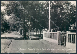 Vibo Valentia Serra San Bruno Foto FG Cartolina EE3902 - Vibo Valentia