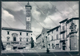 Viterbo Città PIEGHINE Foto FG Cartolina EE3963 - Viterbo