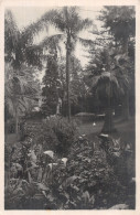 98 MONACO MONTE CARLO LES JARDINS - Exotic Garden