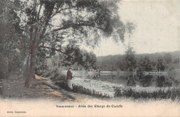 92 VAUCRESSON L ETANG DE CUCUFA - Vaucresson