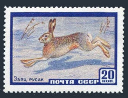 Russia 2213,MNH.Michel 2323. Fauna 1960.Hare. - Neufs