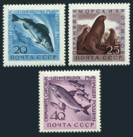 Russia 2375-2377, MNH. Michel 2385-2387. Pikepearsh, Fur Seals, Whitefish. 1960. - Ongebruikt