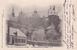 C7- SOUVENIR D ' ECAUSSINNES - LALAING - LE CHATEAU FORT XV° SIECLE - 1903 - 2 SCANS - Ecaussinnes