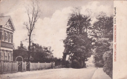 C14- STATION LANE , HORNCHURCH - 1906 - ( 2 SCANS ) - Sonstige & Ohne Zuordnung