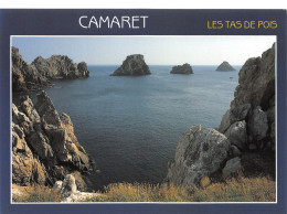 29-CAMARET-N°3766-A/0311 - Camaret-sur-Mer