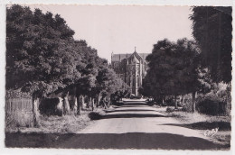 O1-44) GUEMENE - PENFAO - PROMENADE DE LA GARE  -  ( 2  SCANS ) - Guémené-Penfao