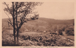 O1-44) GUEMENE - PENFAO - LA VALLEE DU DON  - ( 2  SCANS ) - Guémené-Penfao