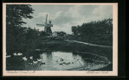 AK Graal /Ostsee, Windmühle Mit Teich  - Moulins à Vent