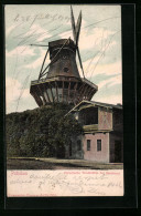 AK Potsdam, Historische Windmühle Bei Sanssouci  - Moulins à Vent