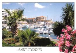 66-SAINT CYPRIEN PLAGE-N°3769-C/0095 - Saint Cyprien
